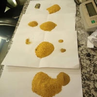 GOLD DUST
